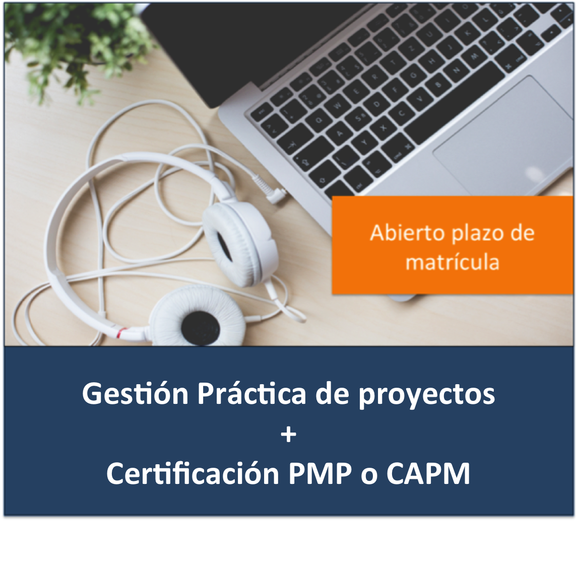 Curso Gestion practica de proyectos + Certificacion PMP